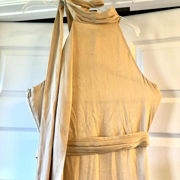 SACHIN & BABI Kayla Gown Tie Neck Crinkle Maxi Dress Champagne 8 MSRP $300 - Picture 8 of 12